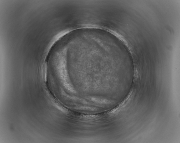 X0000112731223200909031437