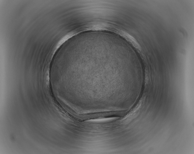 X0000112731226200909031437