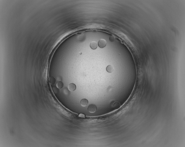 X0000112731228200909031437