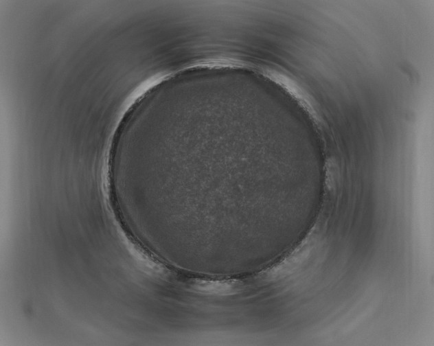 X0000112731229200909031437