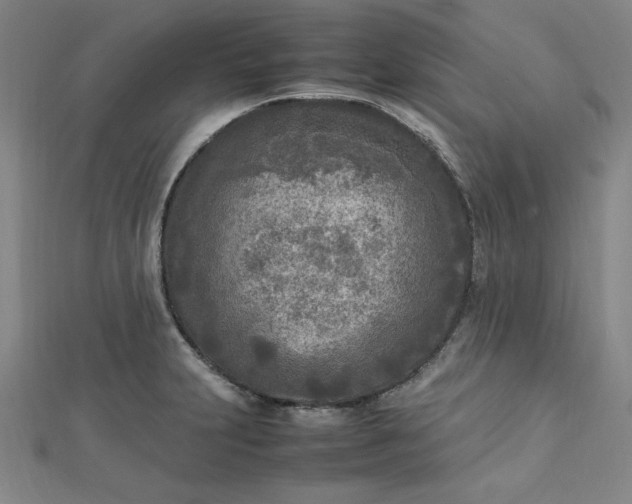 X0000112731231200909031437