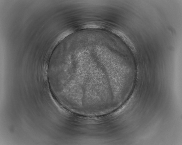 X0000112731233200909031437