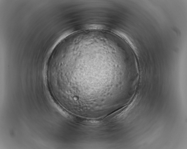 X0000112731235200909031437