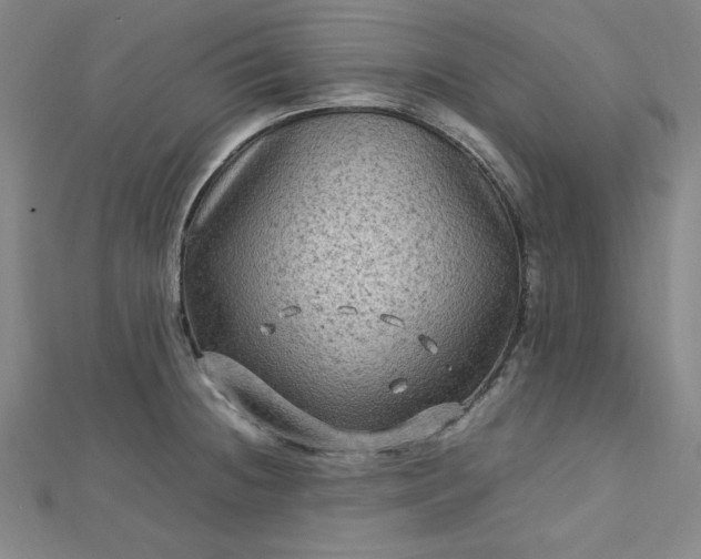 X0000112731236200909031437