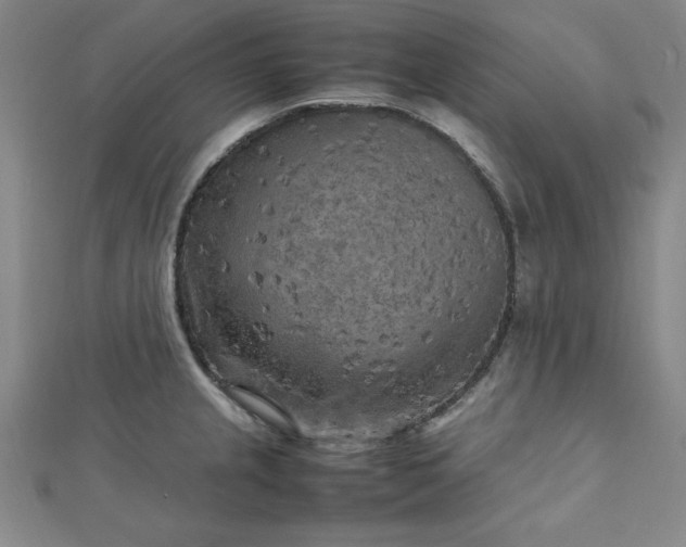 X0000112731237200909031437