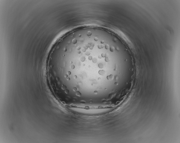 X0000112731240200909031437