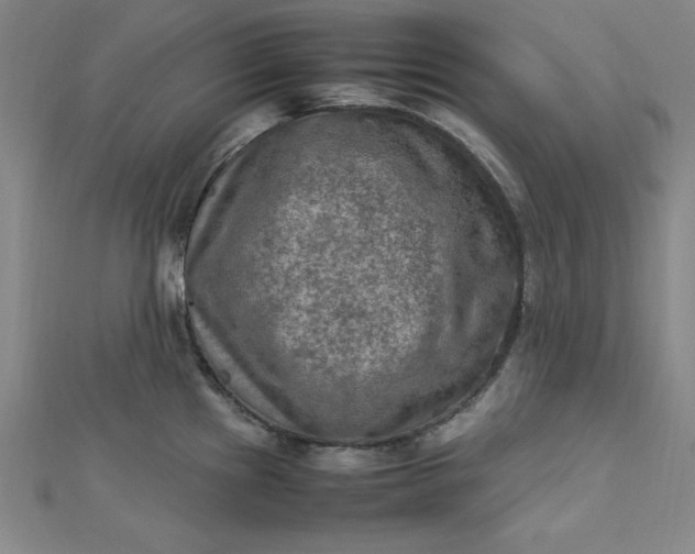 X0000112731241200909031437