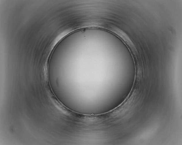 X0000112731242200909031437