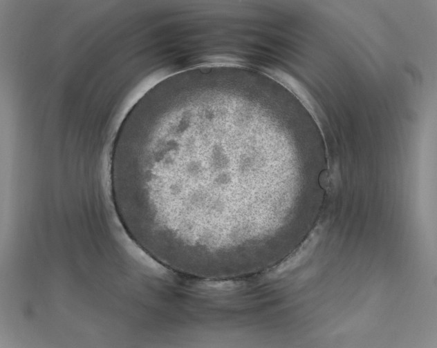 X0000112731243200909031437