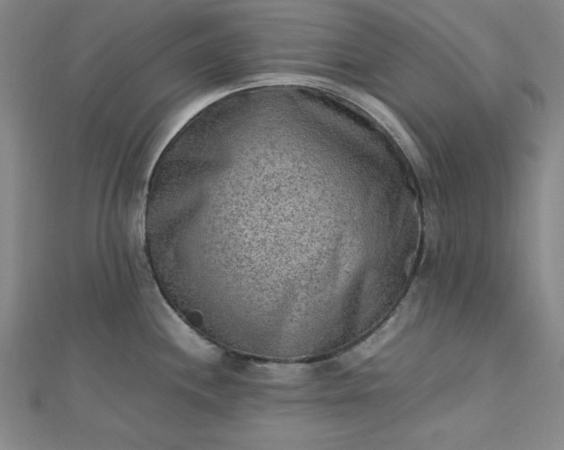 X0000112731244200909031437