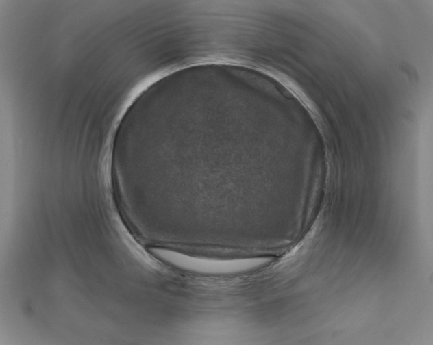 X0000112731246200909031437