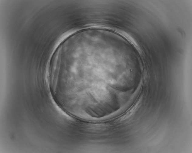 X0000112731247200909031437