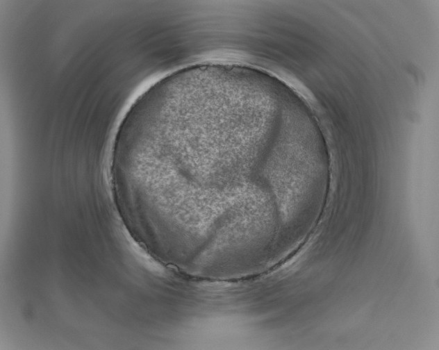 X0000112731248200909031437