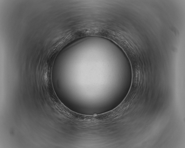 X0000112731250200909031437