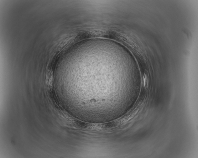 X0000112731251200909031437