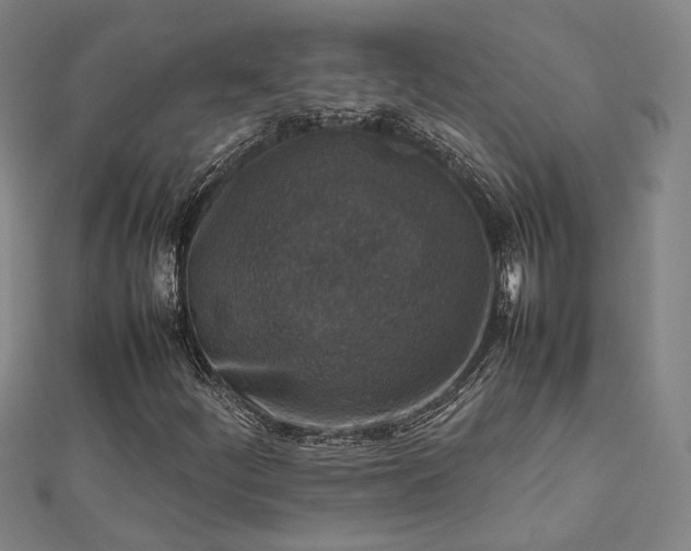 X0000112731252200909031437