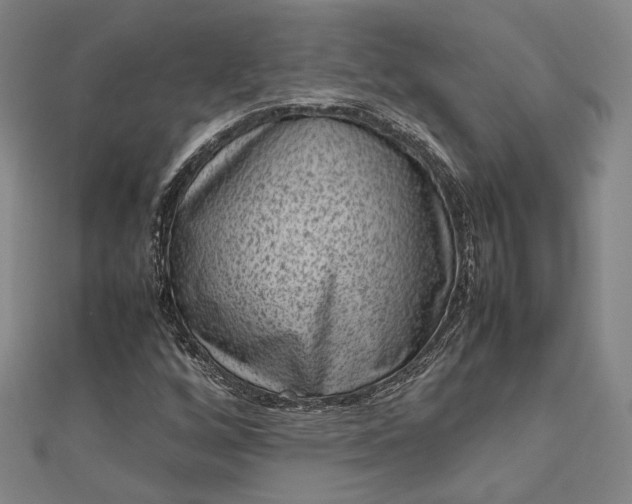 X0000112731256200909031437