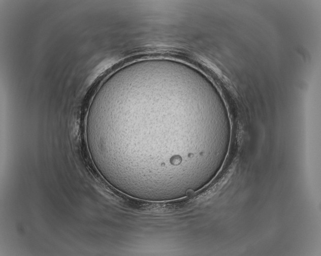 X0000112731259200909031437