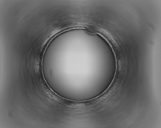 X0000112731260200909031437