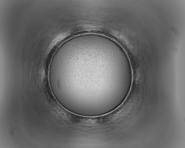 X0000112731261200909031437