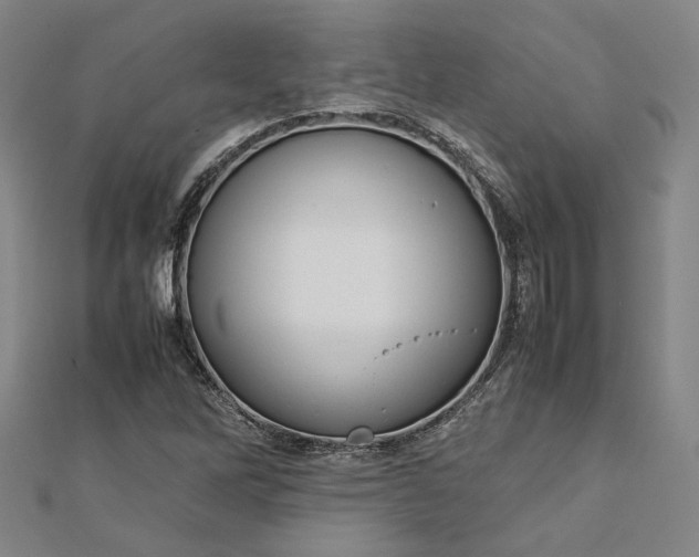 X0000112731262200909031437