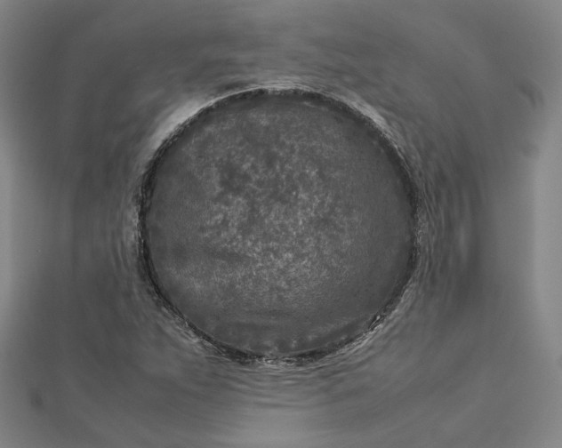 X0000112731263200909031437