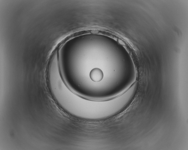 X0000112731264200909031437