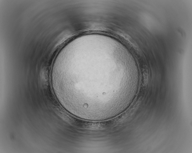 X0000112731266200909031437