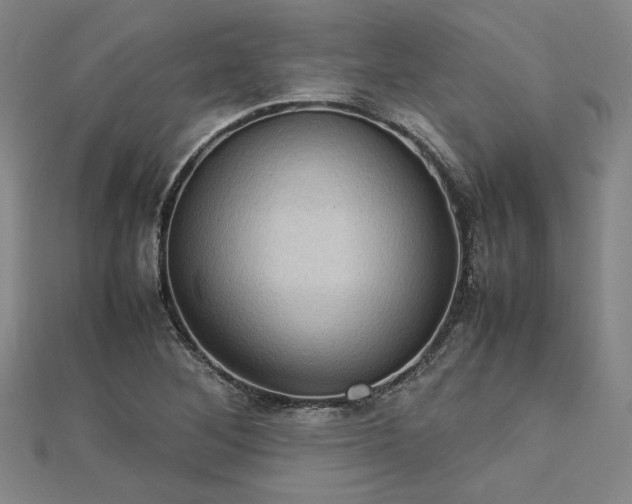 X0000112731268200909031437