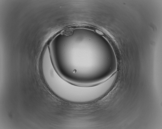 X0000112731269200909031437