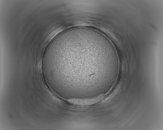 X0000112731273200909031437