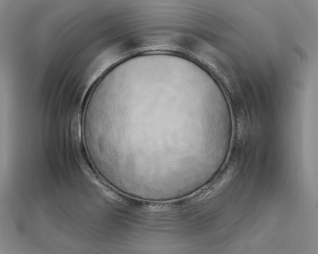 X0000112731274200909031436