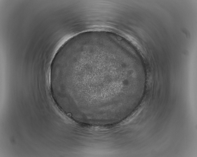 X0000112731275200909031436