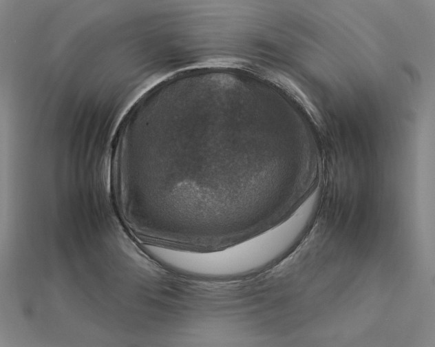 X0000112731276200909031436