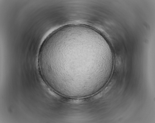 X0000112731278200909031436