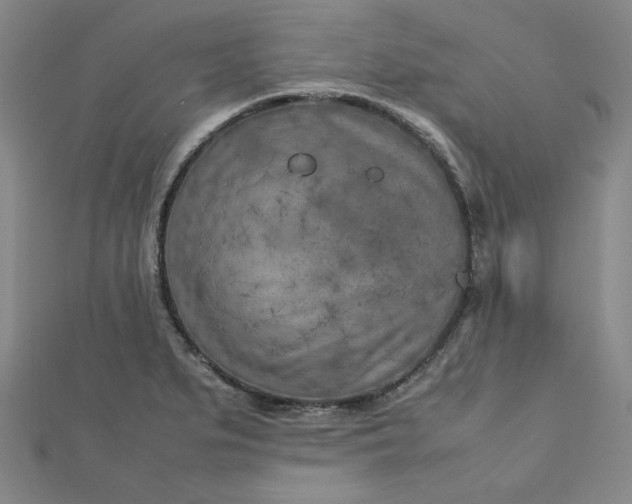 X0000112731279200909031436