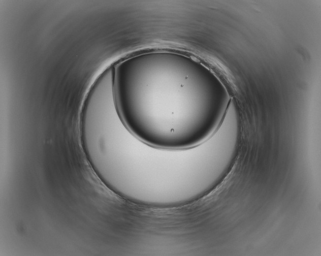 X0000112731280200909031436