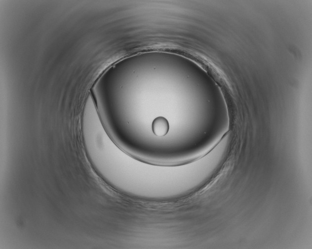 X0000112731281200909031436