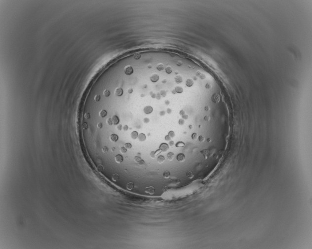 X0000112731283200909031436