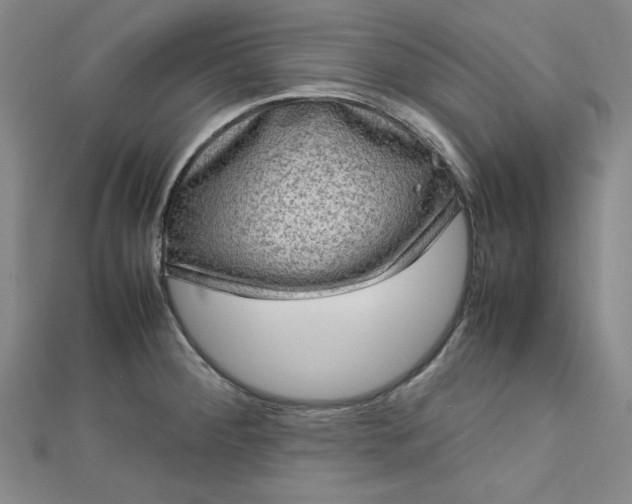 X0000112731284200909031436