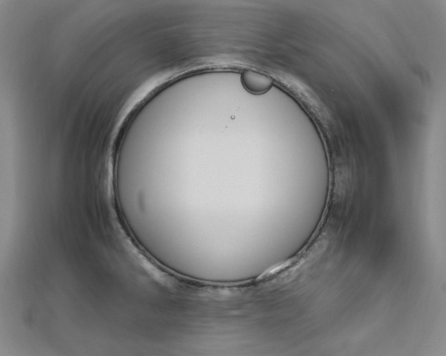 X0000112731286200909031436