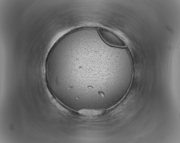 X0000112731287200909031436