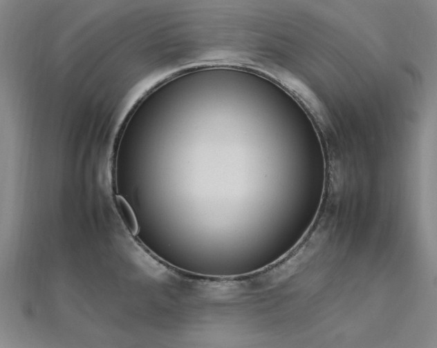 X0000112731288200909031436