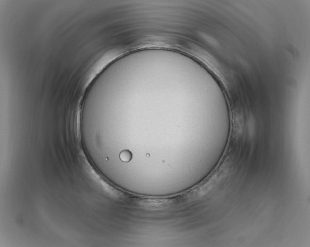 X0000112731290200909031436