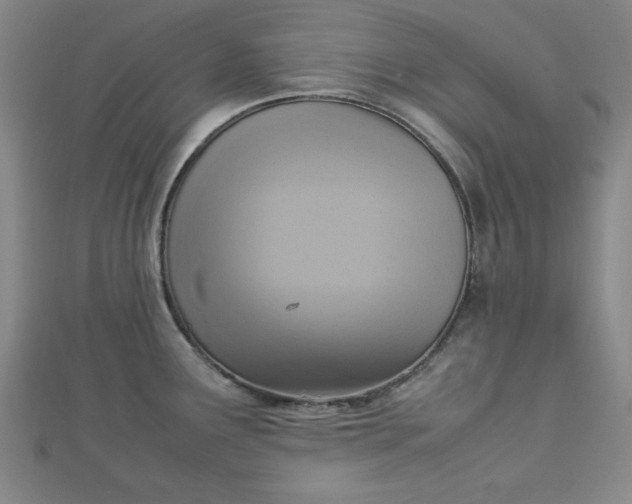 X0000112731291200909031436