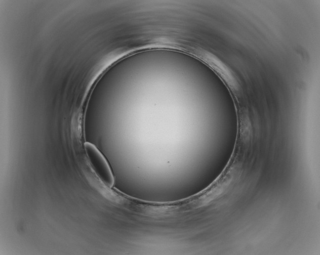 X0000112731292200909031436