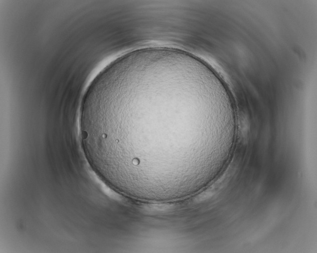 X0000112731294200909031436