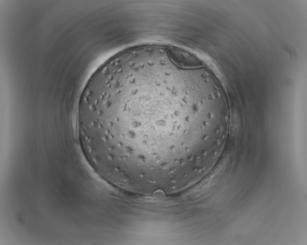 X0000112731295200909031436