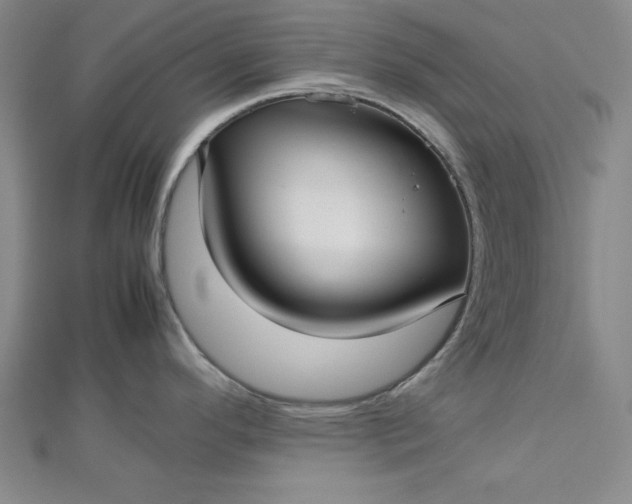 X0000112731296200909031436