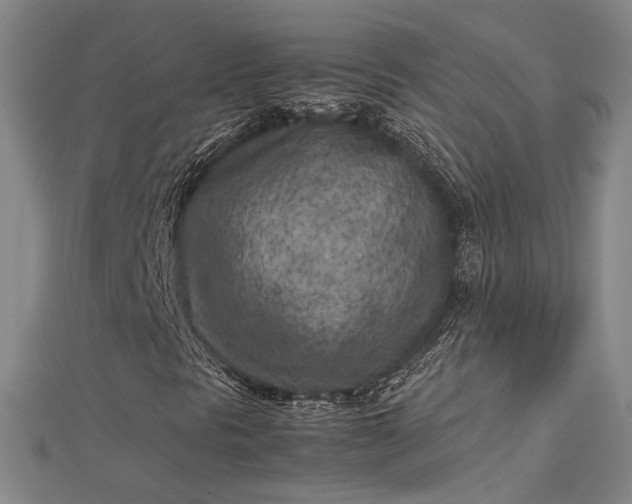 X0000112731297200909031436